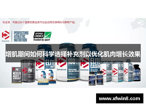 增肌期间如何科学选择补充剂以优化肌肉增长效果